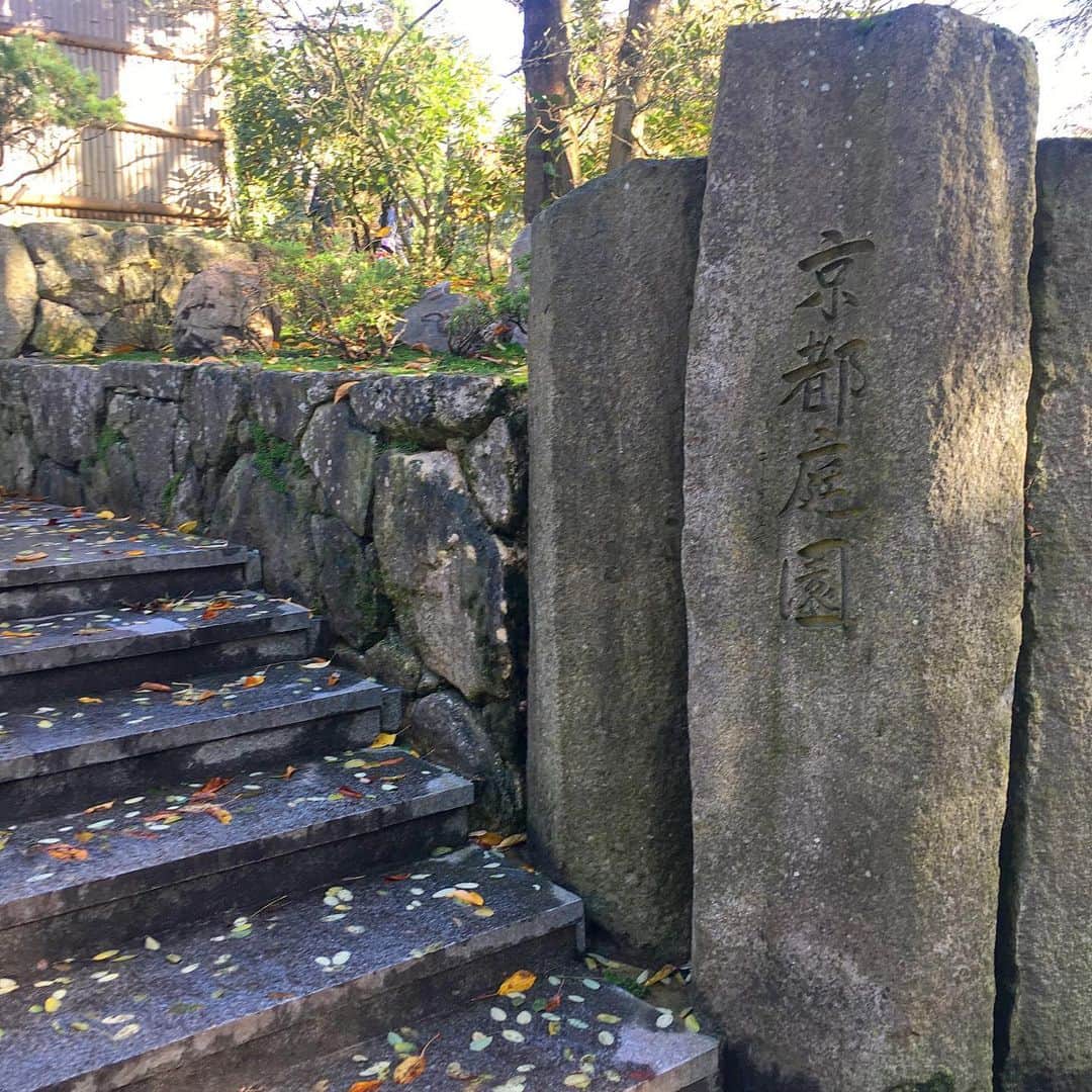 渡辺枝里子さんのインスタグラム写真 - (渡辺枝里子Instagram)「【ロンドンに京都庭園が☺️🍵🇬🇧】  📍Holland Park  西ロンドンの超高級住宅街。 ハイストリートケンジントンにあるホランド・パーク（Holland Park）。  ここには、Kyoto Gardenという日本庭園があります✨  池の鯉、石庭、小滝、孔雀。 久々の純和風な空間。 まるでここだけゆっくりと時間が流れているようで、ほっと落ち着きました✨  1991年に京都商工会議所により寄贈されたそうで、更に 2012年には、震災の被害を受けた福島の復興を願い、福島庭園が増設されたそうです。  紅葉綺麗だし、ここでゆっくり緑茶が飲みたかったなぁ🍵♡孔雀もいたし🦚  結局この日は10km弱歩いて運動不足解消です✌︎😁✌︎ * * * * * #uk #london #hollandpark #kyotogarden #japanesegarden #highstreetkensington  #garden #peacock #londonphotography  #londondiaries #londonlife #autumn #autumnleaves  #イギリス　#ロンドン　#ホランドパーク　#京都庭園　#日本庭園　#公園　#紅葉　#秋　#ロンドン日記　#海外　#海外生活　#ロンドンライフ　#ロンドン生活　#ロンドン散歩  #渡辺枝里子」11月17日 7時34分 - eriko_watanabe_21