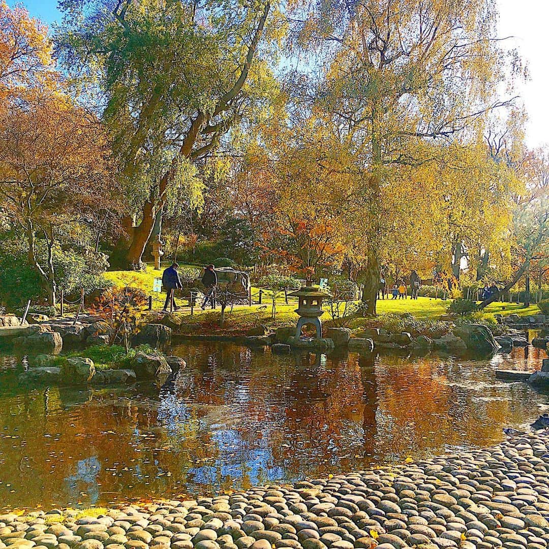 渡辺枝里子さんのインスタグラム写真 - (渡辺枝里子Instagram)「【ロンドンに京都庭園が☺️🍵🇬🇧】  📍Holland Park  西ロンドンの超高級住宅街。 ハイストリートケンジントンにあるホランド・パーク（Holland Park）。  ここには、Kyoto Gardenという日本庭園があります✨  池の鯉、石庭、小滝、孔雀。 久々の純和風な空間。 まるでここだけゆっくりと時間が流れているようで、ほっと落ち着きました✨  1991年に京都商工会議所により寄贈されたそうで、更に 2012年には、震災の被害を受けた福島の復興を願い、福島庭園が増設されたそうです。  紅葉綺麗だし、ここでゆっくり緑茶が飲みたかったなぁ🍵♡孔雀もいたし🦚  結局この日は10km弱歩いて運動不足解消です✌︎😁✌︎ * * * * * #uk #london #hollandpark #kyotogarden #japanesegarden #highstreetkensington  #garden #peacock #londonphotography  #londondiaries #londonlife #autumn #autumnleaves  #イギリス　#ロンドン　#ホランドパーク　#京都庭園　#日本庭園　#公園　#紅葉　#秋　#ロンドン日記　#海外　#海外生活　#ロンドンライフ　#ロンドン生活　#ロンドン散歩  #渡辺枝里子」11月17日 7時34分 - eriko_watanabe_21