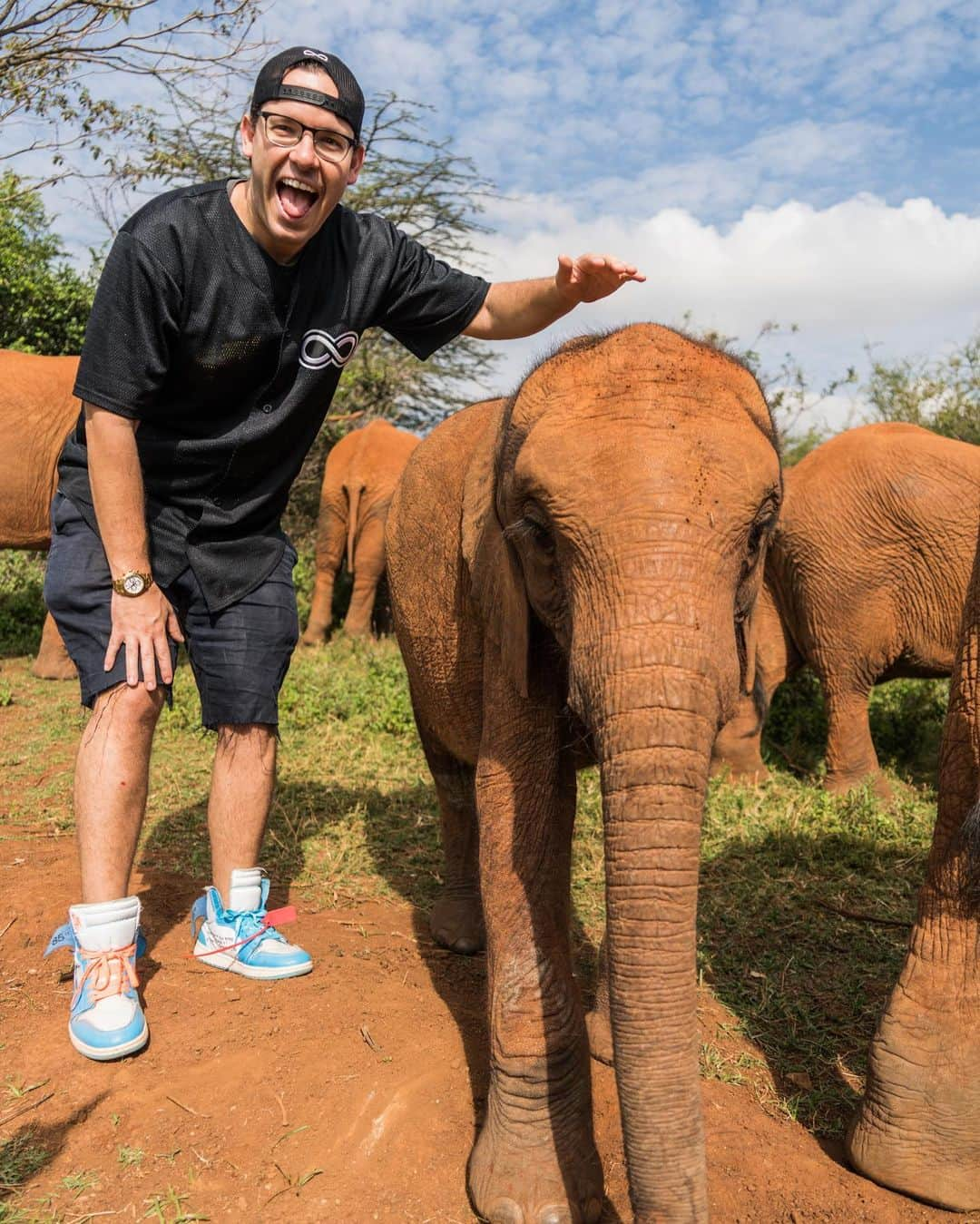 ティモシー・サイクスさんのインスタグラム写真 - (ティモシー・サイクスInstagram)「I’m SO proud to announce a new $50,000 donation on behalf of @karmagawa from my recent trading profits to the amazing charity @sheldricktrust which rescues & cares for baby orphaned elephants. It’s my honor to donate 100% of my trading profits to charity to help inspire more traders to give back as Wall Street makes far too much $ not to do more for the planet and Sheldrick Wildlife Trust is one of my favorite charities in the world as these baby elephants need all the help they can get after losing their parents in far too many tragic ways these days. I’ll have more details on this new donation soon, but I just couldn’t wait to tell everyone as I want more people to go check out @sheldricktrust and see all the truly incredible work they do for these beautiful animals and share their profile with your followers/donate too to help them in their critical efforts to save the elephants! #savetheelephants #sheldricktrust #babyelephants #karmagawa #jewswithbignews」11月17日 7時35分 - timothysykes