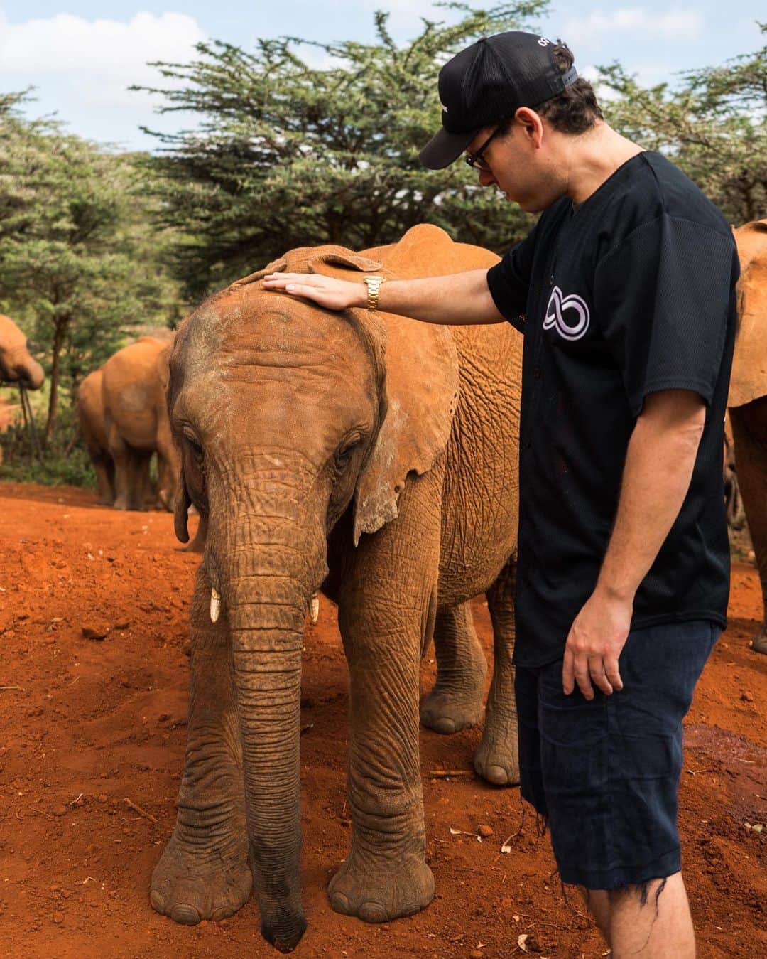 ティモシー・サイクスのインスタグラム：「I’m SO proud to announce a new $50,000 donation on behalf of @karmagawa from my recent trading profits to the amazing charity @sheldricktrust which rescues & cares for baby orphaned elephants. It’s my honor to donate 100% of my trading profits to charity to help inspire more traders to give back as Wall Street makes far too much $ not to do more for the planet and Sheldrick Wildlife Trust is one of my favorite charities in the world as these baby elephants need all the help they can get after losing their parents in far too many tragic ways these days. I’ll have more details on this new donation soon, but I just couldn’t wait to tell everyone as I want more people to go check out @sheldricktrust and see all the truly incredible work they do for these beautiful animals and share their profile with your followers/donate too to help them in their critical efforts to save the elephants! #savetheelephants #sheldricktrust #babyelephants #karmagawa #jewswithbignews」