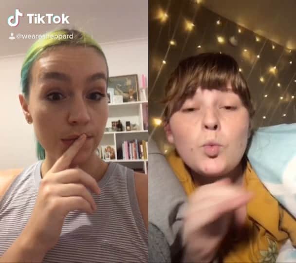 シェパードのインスタグラム：「Who agrees? #tiktok #geronimo」