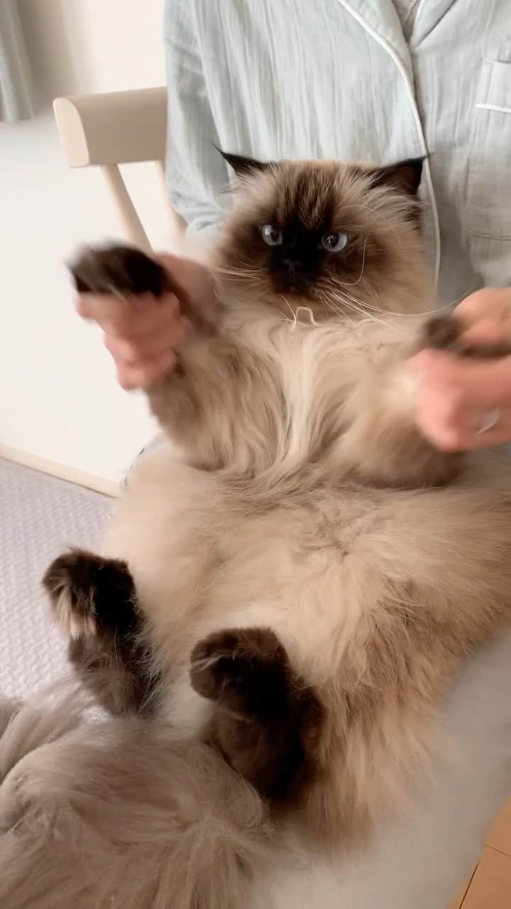 plumeのインスタグラム