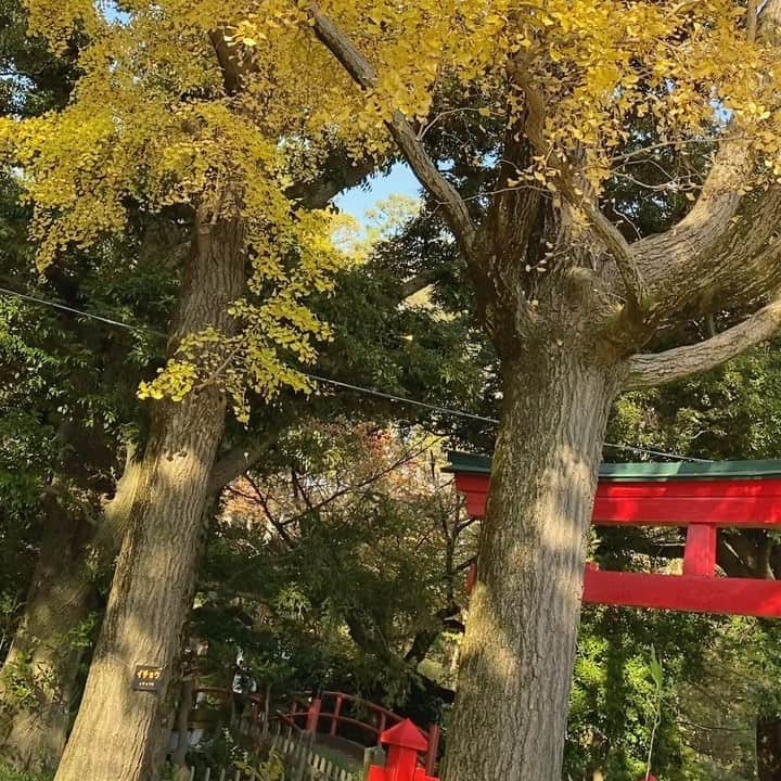 松本孝美のインスタグラム