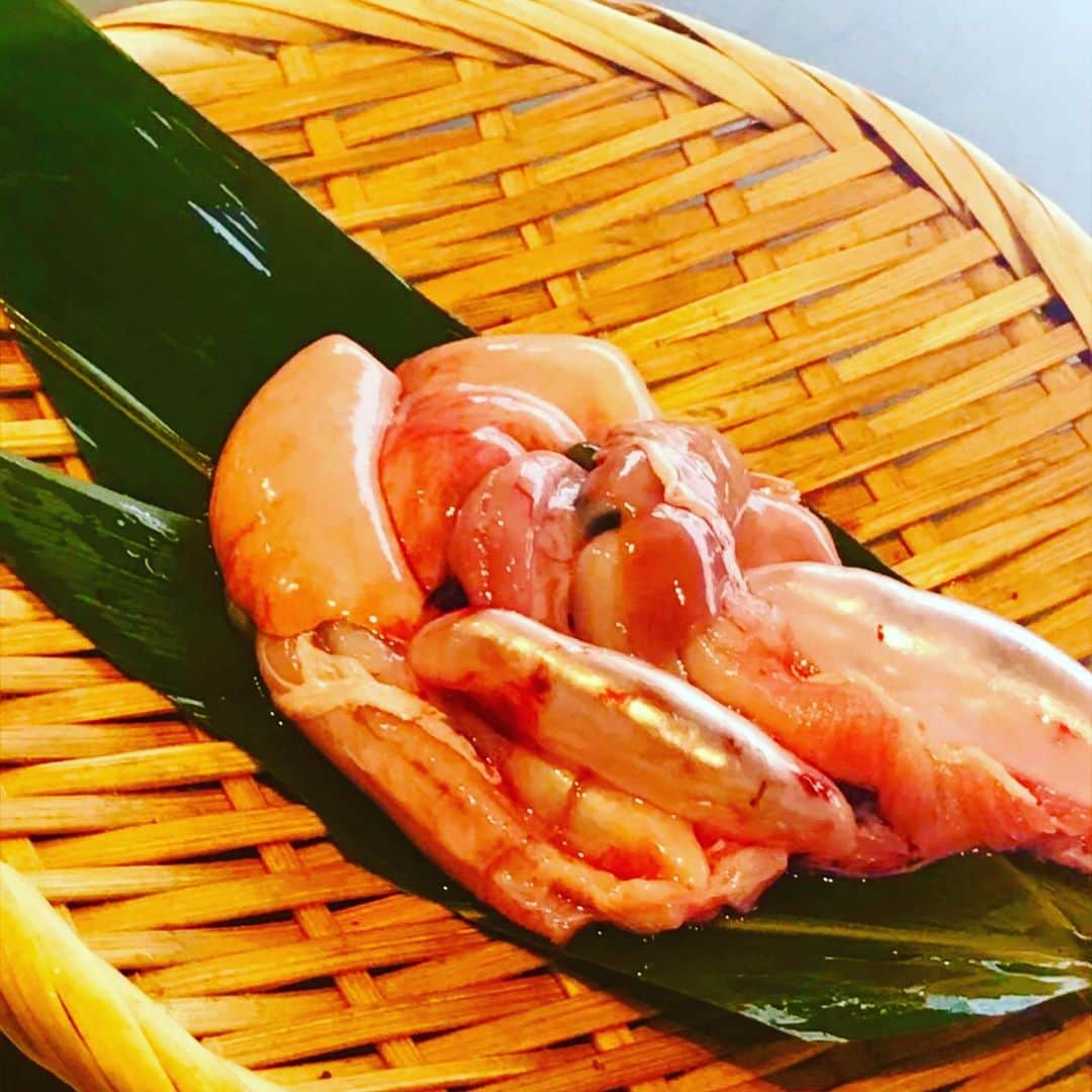 新宿寅箱のインスタグラム