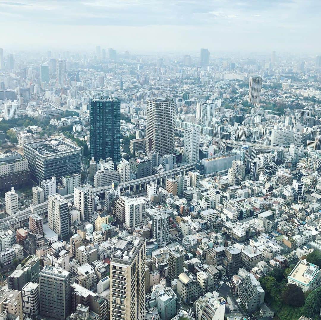 岡田育さんのインスタグラム写真 - (岡田育Instagram)「⚡️🗼 ⚡️ . One cloudy-but-fine day at Top Deck. This junction is called “Another Tokyo Tower on the ground.”  @tokyotower_official #tokyotower  #あなたは東京がきらいですか #好きとか嫌いとかじゃない #東京タワー #特別展望台」11月17日 17時31分 - okadaic