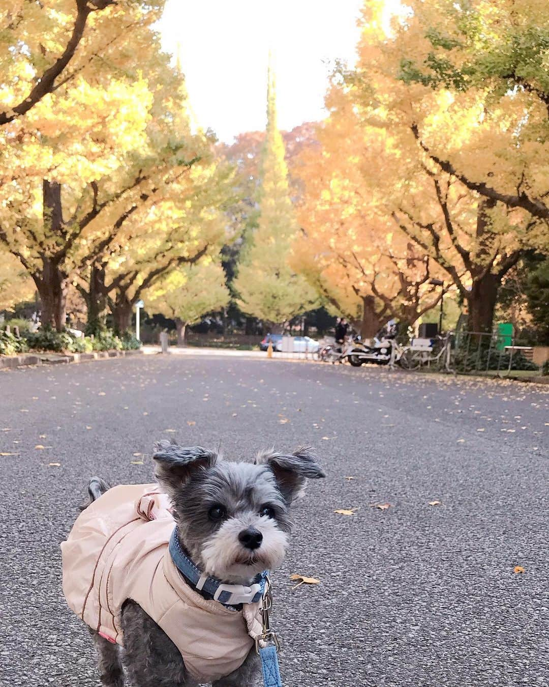 橘珠里のインスタグラム