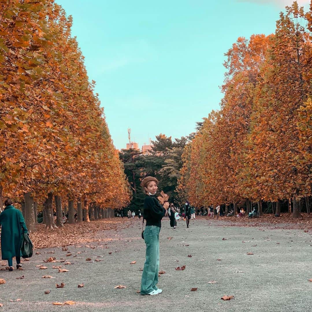 宏実のインスタグラム：「🍁🍂Colors of autumn🍂🍁  紅葉が綺麗な季節ですね☺️ 姉と甥っ子ちゃん👶とお散歩してきました。  #autumnleaves #紅葉 #新宿御苑 #並木道 #あごマスク」