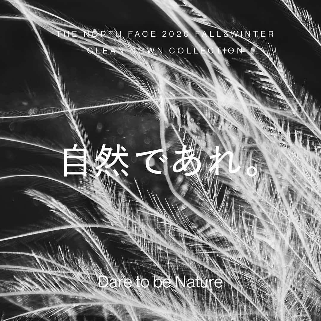 のインスタグラム：「【THE NORTH FACE 2020 FALL&WINTER CLEAN DOWN COLLECTION 】  Dare to be Nature 自然であれ。 “The Masterpiece of Life (自然の傑作)” 神秘的な生命は、進化の過程の中で保温性と空を飛ぶための軽さを両立した理想的な素材であるダウン(羽毛)を発明しました。この自然の傑作は、周囲の環境に合わせて毛先を開閉させることで、呼吸をするように空気中の水分量を調整する機能を持っています。 さらに、ダウンは多くの木や石などの自然素材と同じように、その数に限りがありながらも、適切に扱うことでいつまでも使い続けられる持続可能な素材でもあります。 石油資源に依存しない、未来のモノづくりのヒントは常に自然の中に隠されているのです。  #ザノースフェイス #thenorthface #tnfjp」