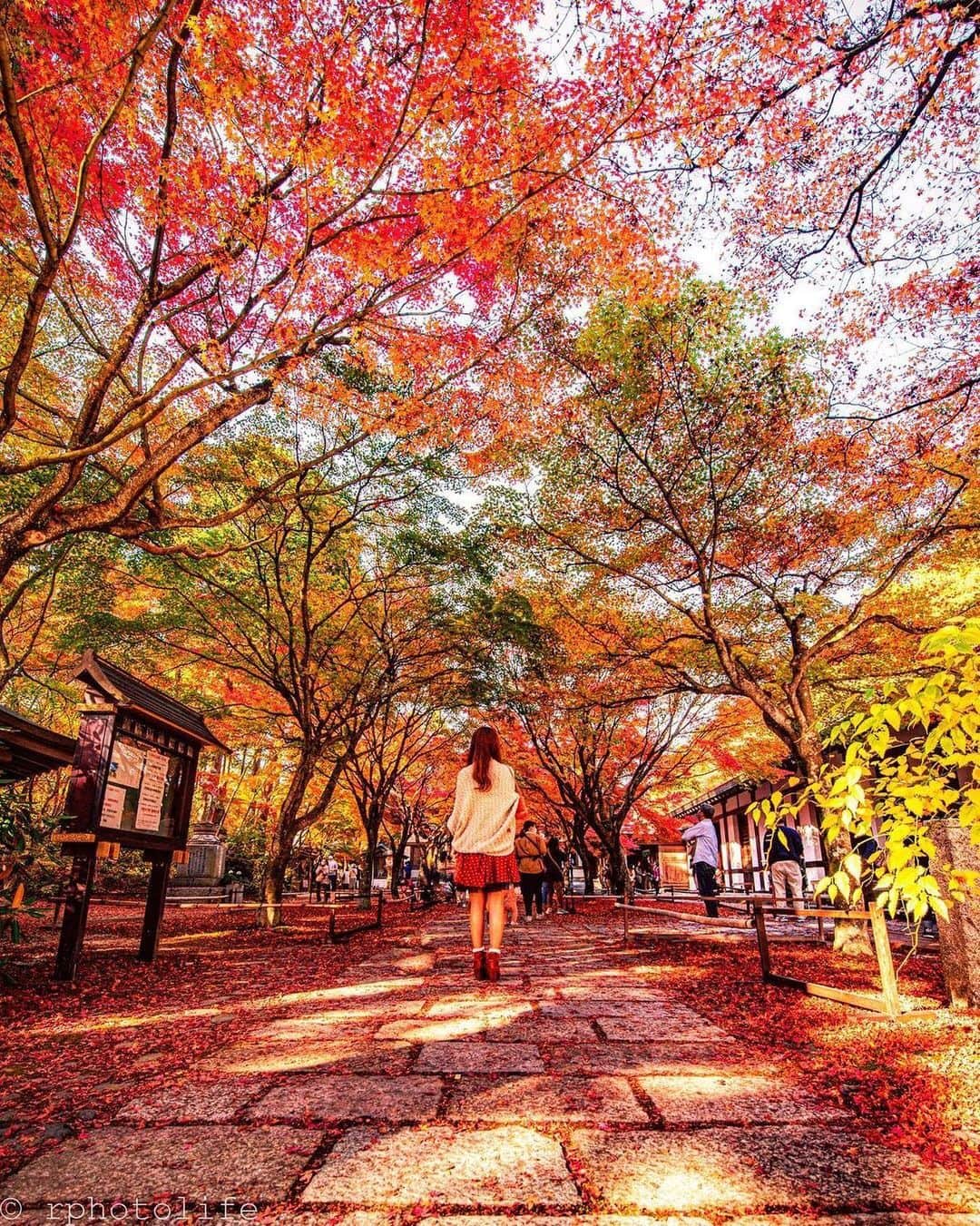 タビジョのインスタグラム：「タビジョのみなさんこんばんは🤗 まだまだ紅葉のお写真が続々 #タビジョ に集まってきています🍁 みんなで秋を楽しもう🥴🌾   本日も@tabi_jyoではいつか行きたい国内・海外スポットをご紹介💁🏻‍♀️💕 ＊＊＊＊ 📸 @rphotolife 🚩福岡県「呑山観音寺」 ＊＊＊＊＊＊ 🔻レポーター募集中🔻 長崎県・五島列島 五島市（福江島） をレポートしてくれるタビジョ募集中 11月18日 12:00まで🥳 詳細はTOPページからチェックしてね❗️」