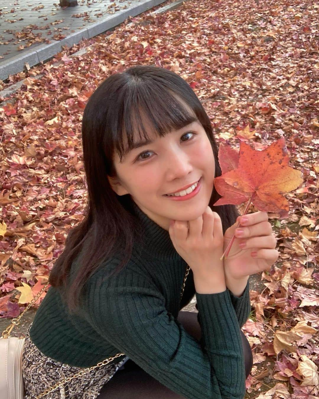 道重佐保さんのインスタグラム写真 - (道重佐保Instagram)「ちいさいあきみーつけた 🍁❤️  #autumnleaves」11月17日 18時27分 - sahomichishige