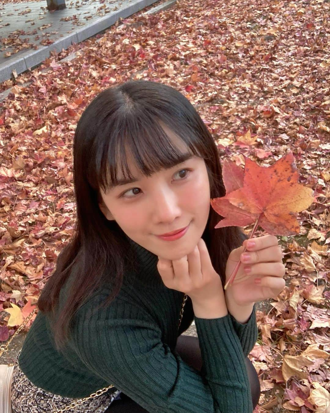 道重佐保さんのインスタグラム写真 - (道重佐保Instagram)「ちいさいあきみーつけた 🍁❤️  #autumnleaves」11月17日 18時27分 - sahomichishige