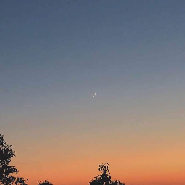 橋本香澄さんのインスタグラム写真 - (橋本香澄Instagram)「. 良き日🌙🍂 . #autumn #fall #japan  #sunset #moon #natural」11月17日 18時28分 - _jasmine_tete_