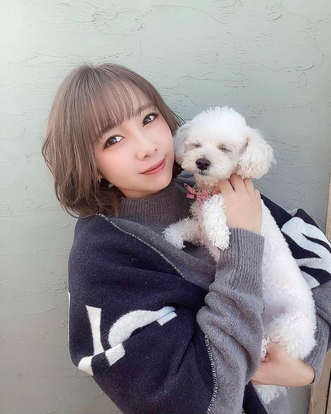 MIYUのインスタグラム：「そろそろこっち向いてくれないかな？🐶🤍﻿ ﻿ ﻿ ﻿ ﻿ ずーっと右見てるティナ。﻿ 正面向いてくれたと思ったら﻿ 目つむってるよ…💤﻿ ﻿ ﻿ ﻿ 愛くるしいです。﻿ ﻿ ﻿ ﻿ ﻿ 今日も笑顔溢れる1日に…😊✨﻿ ﻿ ﻿ ﻿ ﻿ ﻿ ﻿ #オリックス #Bs2020 #BsGirls #オリ姫﻿ #野球 #プロ野球 #オリックスバファローズ #超革新系﻿ #野球女子　#野球好き　#京セラドーム大阪　﻿ #ほっともっとフィールド神戸﻿ #トイプードル #犬のいる暮らし﻿ #baseball #ORIX #Buffaloes #BINNOVATION﻿ #MIYU #miyu_337  #🐼 ﻿」