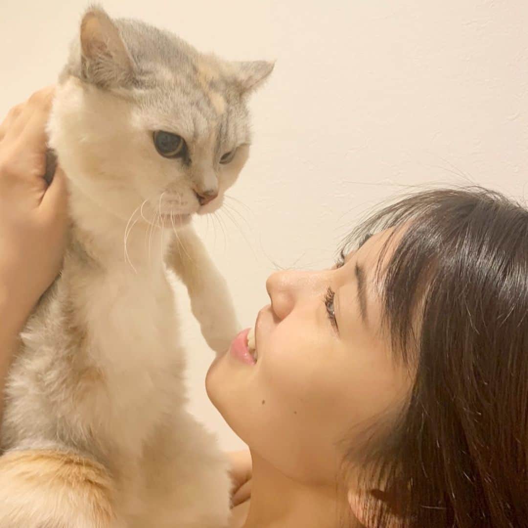 竹内愛紗のインスタグラム：「. 昨日、11月16日発売の、デイリースポーツさんの『デイリーにゃんこ部』🐱💛に掲載して頂きました！✨ 報告が遅くなってしまい、すみません！ ぴょんちゃんの昔話、裏話沢山載ってます！ ぜひ見て下さいね👀💖 . #デイリースポーツ#にゃんこ部#頑張れぴょんちゃん#1116」