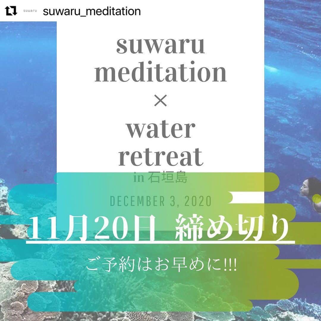 二木あいさんのインスタグラム写真 - (二木あいInstagram)「#Repost @suwaru_meditation with @nirmal1976 @ties.chie  ・・・ 『water retreat in石垣島』のお申し込みの締め切りは今月の20日まで！ ご興味のある方はぜひお申し込みをお待ちしております✨ ・ ・ ・ 12月3日から6日までの3泊4日で石垣島のプライベートビーチのある宿に滞在して瞑想リトリートを開催します。 今回のリトリートのテーマは“本来の自分に戻る” 日常を離れ、自分自身と向き合うことで身も心もリフレッシュしませんか。  石垣島の豊かな自然の中で、ニーマル先生と二木あいさんと過ごすMeditateな4日間 少しだけ立ち止まって“本来の自分”を見つけに行きましょう。 かけがえのない瞬間と出会えます。  講師： ギネスホルダーのスキンダイバー二木あい さん　× 　ニーマル先生  詳細を知りたい方はプロフィールのリンクから。 https://www.suwaru.co.jp/retreat  コロナ対策のため人数を制限してご案内いたします。 . . . #瞑想 #スワル #メディテーション #マインドフルネス #マインドフルネス瞑想 #ウェルネス #脳 #脳トレ #ヨガ #呼吸法 #瞑想タイム #瞑想時間 #ココロとカラダ  #今ここ　#自分を大切に #自然の法則 #mindfulnessmeditation #suwaru #mindfulness #meditation #nirmalmethod #wellness #love」11月17日 10時36分 - aifutaki