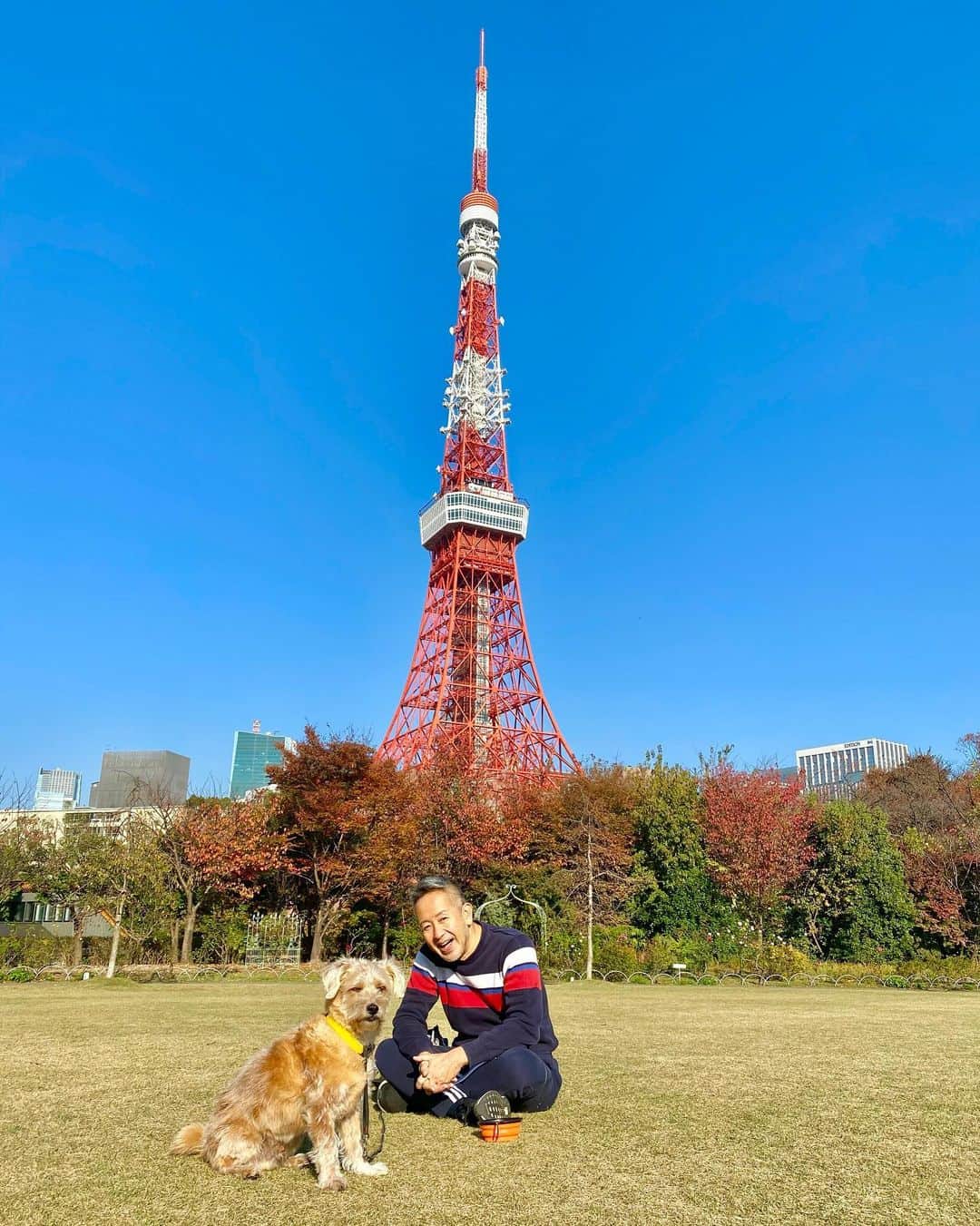 宮本亜門さんのインスタグラム写真 - (宮本亜門Instagram)「あもんさんとおないどしの🗼とうきょうたわー🗼　#今日もたくさん歩いた　#東京タワー　#紅葉も色づいてます　#保護犬　#ビート　#宮本亞門」11月17日 10時58分 - beatamon