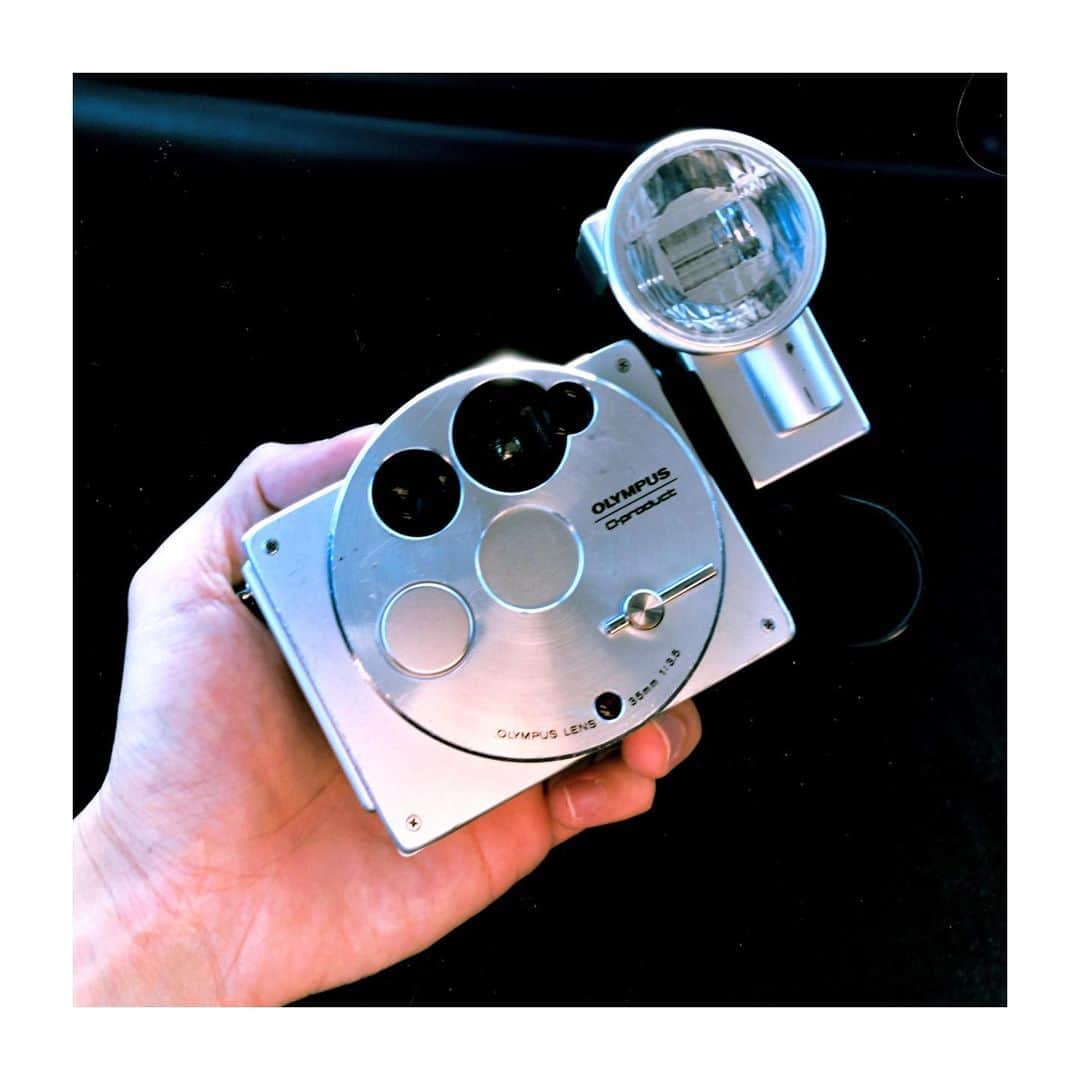 ロビンのインスタグラム：「Cute   #olympus」