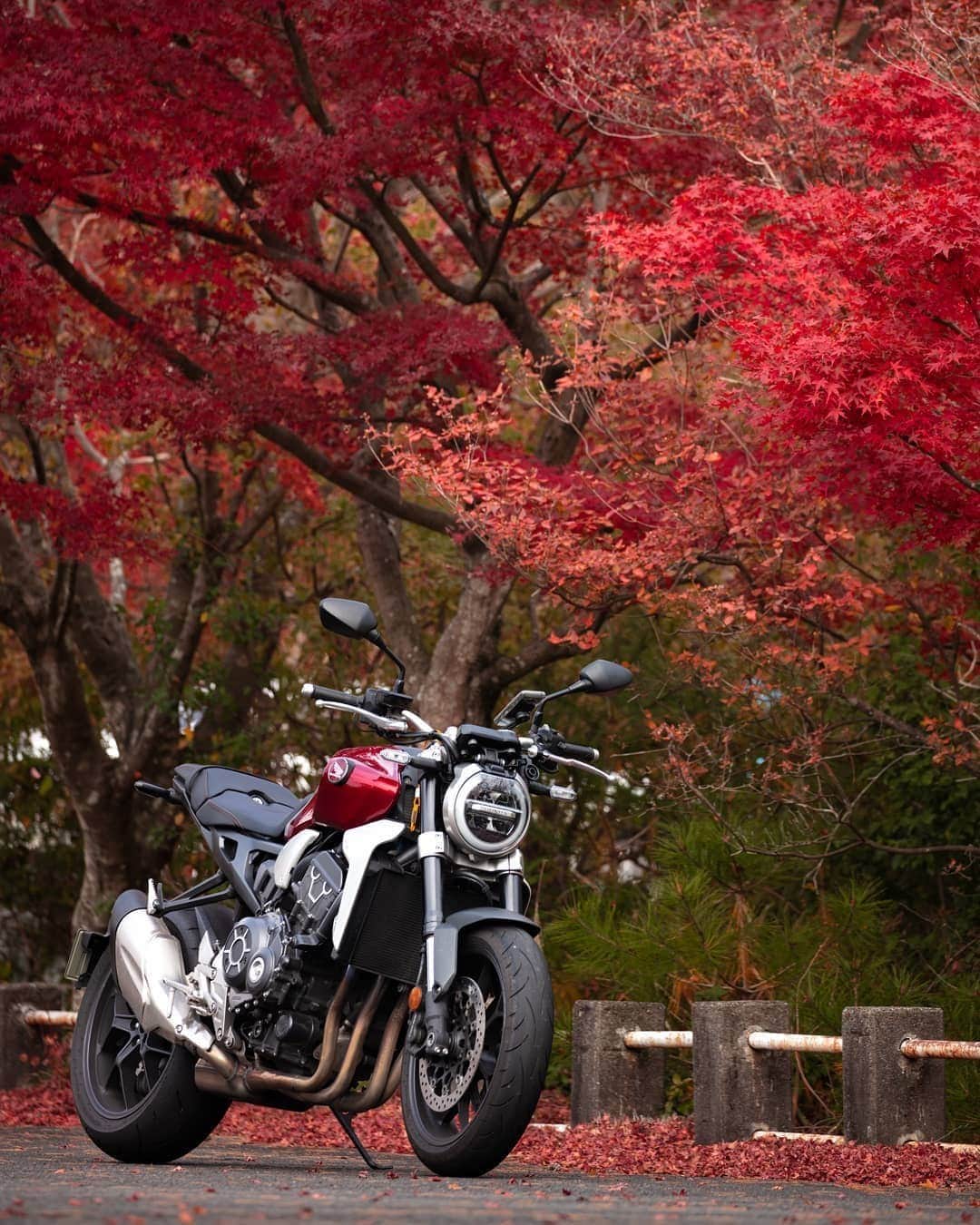 Honda 本田技研工業(株)さんのインスタグラム写真 - (Honda 本田技研工業(株)Instagram)「バイクがあったからこそ感じられた秋。 皆さまもぜひ、愛車とともに春夏秋冬を楽しんでください！ . 「秋を満喫できたのでよかったです。これもバイクのおかげ？」 Photo by @kuroda9592 . #MeandHonda #Honda #写真 #photo #ファインダー越しの私の世界 #バイク #CB1000R #ホンダバイク #HondaBike #ホンダ乗りと繋がろう2020秋 . 本アカウントでは、「 #MeandHonda 」をつけてInstagramに投稿された皆さんのお出かけ写真やHonda製品を取り入れた写真を紹介させていただきます。たくさんのご投稿をお待ちしています。」11月17日 11時00分 - hondajp