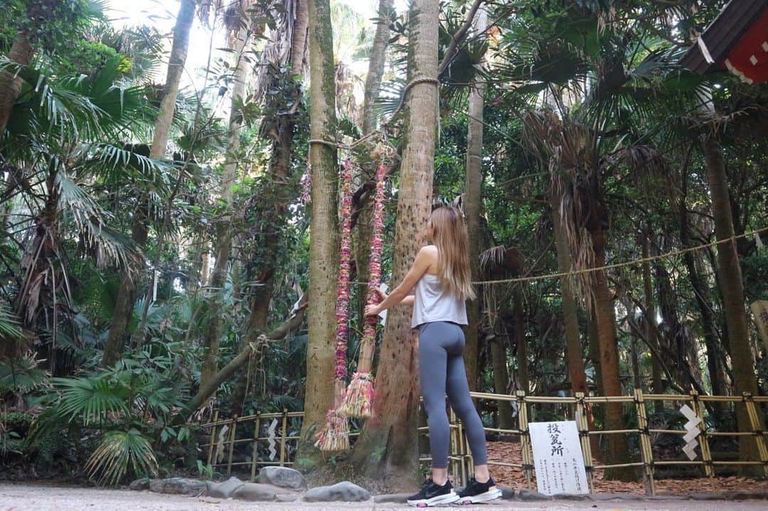 RENA のインスタグラム：「子供の頃から私のパワースポット⛩✨ ． 東南アジア等から流れ着いた植物達が根付いて芽を出し自然に育った亜熱帯植物に溢れる島🌊 ． とっても眩しくて酸素が溢れていて気持ちや体が浄化される🌴🌊 ． 良い時も悪い時もどんな時もここに来て手を合わせると心なしか穏やかに上手くいく気がする✨ ． いつもありがとう✨🙏 ． ． ． #パワースポット #島 #神社 #island #powerpoint #海のある生活 #shrine #aoshima #beach #nature」