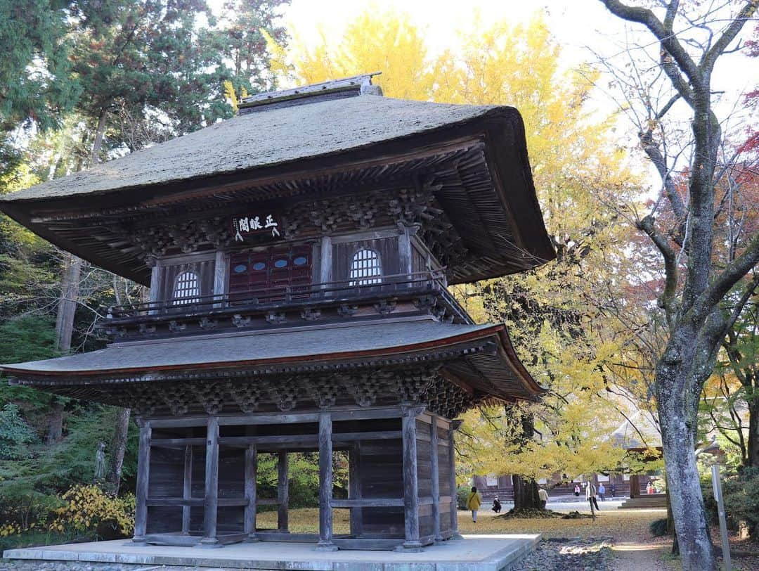 石松大晟さんのインスタグラム写真 - (石松大晟Instagram)「・﻿ 広徳寺🍁﻿ 前回行った時に近所の方が、﻿ 「紅葉の時期に来ると凄いよ！」と言っていたのを思い出して、タイミングが合ったので行ってきました🙇‍♂️﻿ ﻿ 黄色の絨毯、立派なイチョウの木…最高だった💯﻿ 教えて貰わなかったら、こんなに綺麗な景色見れなかっただろうなー🤔﻿ 出会いに超感謝🙏﻿ ﻿ 写真は前回のと比較して撮ってみた📸﻿ 【①②】【③④】【⑤⑥】【⑦⑧】﻿ ﻿ 広徳寺、昭和記念公園と今までで1番綺麗な紅葉を﻿ 見れた1日でした👏﻿ ﻿ 早羅ありがとう🙏﻿ ﻿ #広徳寺のイチョウ #広徳寺 #あきる野市 #イチョウ #紅葉 #カメラ #ゴープロ #canon #camera #gopro #photo ﻿」11月17日 11時50分 - taiseiishimatsu