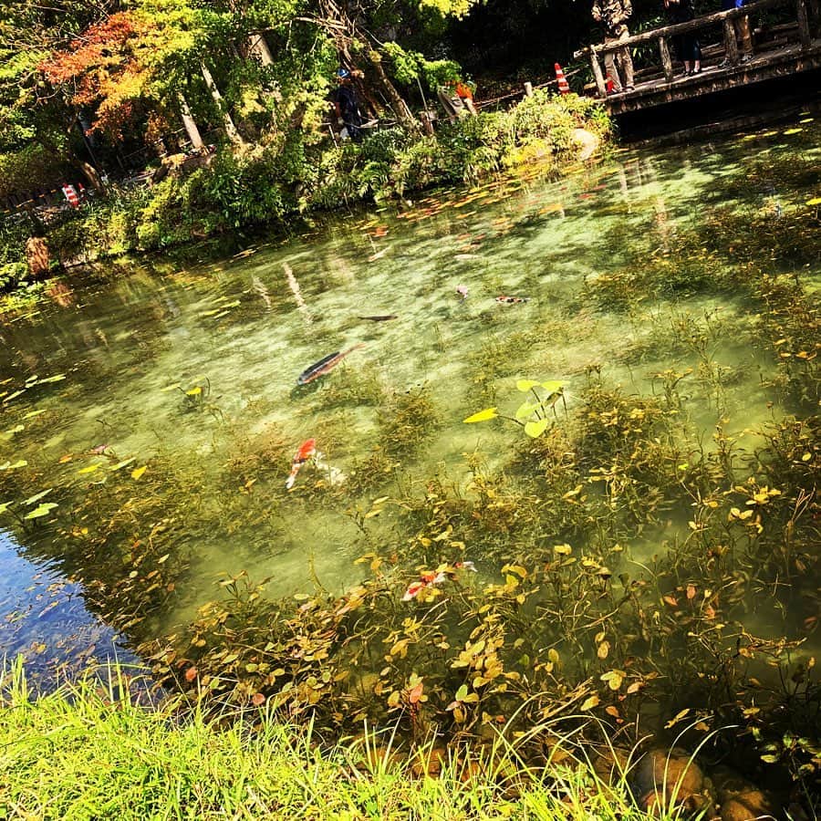 Koukiのインスタグラム