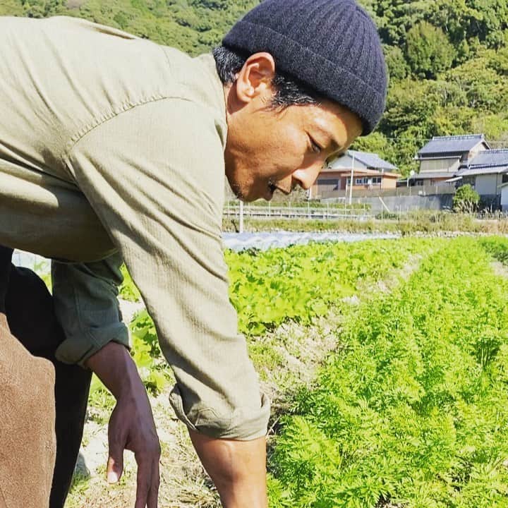 Sunshine Juiceのインスタグラム