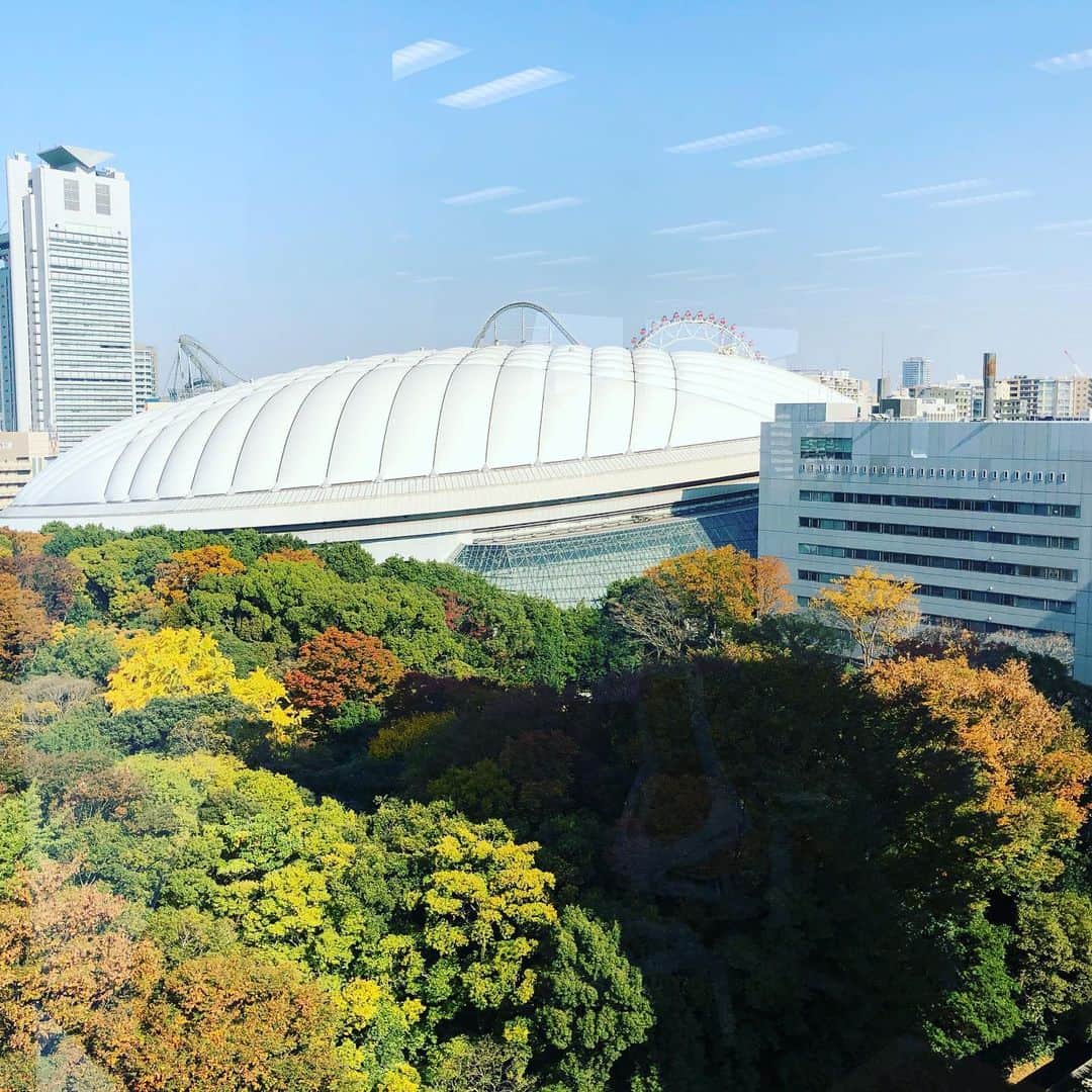 クニヨシTVさんのインスタグラム写真 - (クニヨシTVInstagram)「新オフィスに初出社。 東京ドームを見ながら仕事できるのは野球人とし幸せだー。  #眠くなったらドームシティに行く #休憩でバッセン行ける #仕事あがりにさくっと巨人戦 #ゴルフしたい #ゴルフのお誘いお待ちしてます #守備猿のじいちゃんち #いつかのクニヨシTV」11月17日 12時16分 - 92kantoku.appare