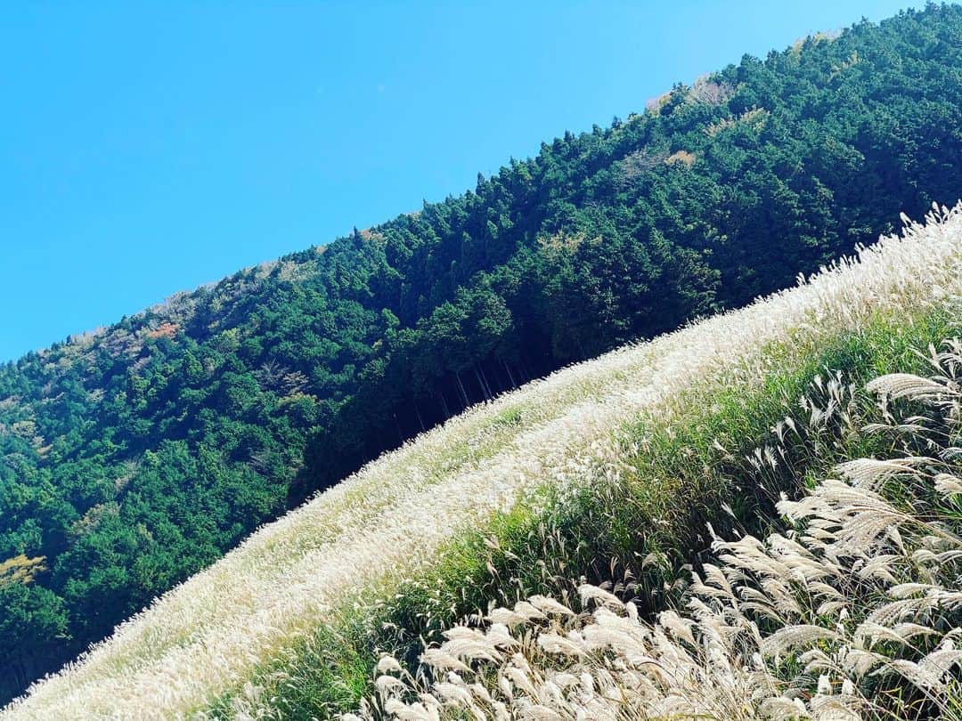 かめだなつみさんのインスタグラム写真 - (かめだなつみInstagram)「travel🚗 第二弾もあるよ🤪🤪🤪 次はホテル編🏨 . . . #travel #旅行 #箱根 #箱根旅行 #旅行好きな人と繋がりたい #仙石原 #すすき #大磯プリンスホテルスパ #秋 #紅葉  #モデル #model  #サロンモデル #撮影会 #fff #l4l  #instagood #커플티 #남친룩 #팔로우 #선팔하면맞팔 #뷰스타그램 #f4f #f4follow  #l4like #beautiful #photooftheday #followｍe #love」11月17日 12時51分 - kamenatsu0614