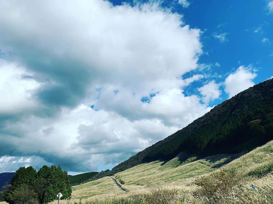 かめだなつみさんのインスタグラム写真 - (かめだなつみInstagram)「travel🚗 第二弾もあるよ🤪🤪🤪 次はホテル編🏨 . . . #travel #旅行 #箱根 #箱根旅行 #旅行好きな人と繋がりたい #仙石原 #すすき #大磯プリンスホテルスパ #秋 #紅葉  #モデル #model  #サロンモデル #撮影会 #fff #l4l  #instagood #커플티 #남친룩 #팔로우 #선팔하면맞팔 #뷰스타그램 #f4f #f4follow  #l4like #beautiful #photooftheday #followｍe #love」11月17日 12時51分 - kamenatsu0614