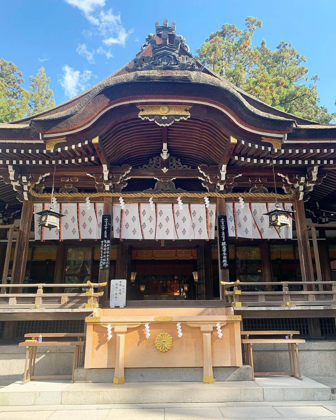 稲富菜穂さんのインスタグラム写真 - (稲富菜穂Instagram)「こないだ早朝から奈良県にある大神神社へ 参拝させて頂きました😌. . 年始にお参りさせてもらってから とても気になっていた神様が宿る三輪山を登拝。. .  ご神体山なのでハイキングのような感じではないし、 とにかく自分と向き合いながらひたすら２時間ほど登り続けると膝がガクガク震えてました🦵. . でも登っていくと気持ちが晴れやかになるというか、視界がくっきりしてきて心地よかったです。. . パワーチャージさせて頂けた😌🙏✨.  写真のビニール袋は三輪山から湧き出るお水（御神水）をぶら下げてます。笑 . #大神神社 #三輪山 #三輪山登拝  #登拝登山 #奈良県 #桜井市」11月17日 12時55分 - inatomi74