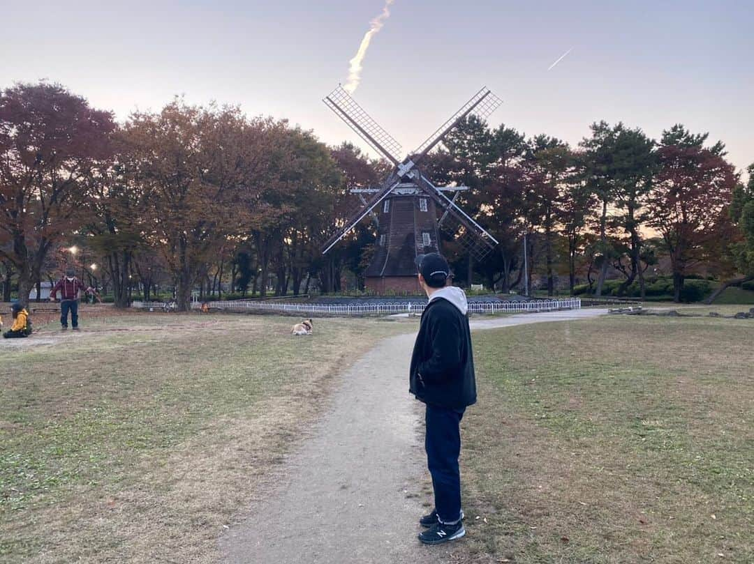 川口太一さんのインスタグラム写真 - (川口太一Instagram)「公園いいよね？何もせずただいるだけで癒される。欲言うなら犬といたい🐶名城公園は名古屋城、金シャチ横丁の近くにあるよ！！ #名城公園 #名城公園トナリノ #犬 #公園好き #犬好き」11月17日 13時17分 - k.taichi20