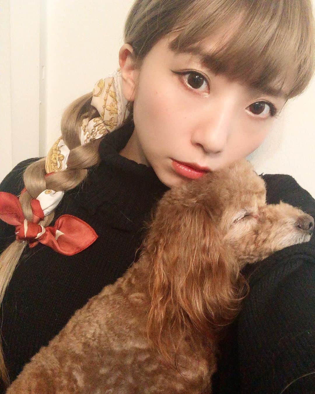 まぁむのインスタグラム：「♡ . . なんかインスタも変わったんだね？？！ ルイちゃんかわいい . . . .  #ルイくん🐩#トイプードル #toypoodle #dog #愛犬 #犬 #トイプー#トイプードル部#いぬすたぐらむ#もふもふ#カフェ巡り#instagramdogs #petstagram#ilovemydog #doglovers #dogoftheday#instapet #犬との休日#三つ編みアレンジ #スカーフヘアアレンジ#ヘアアレンジ」