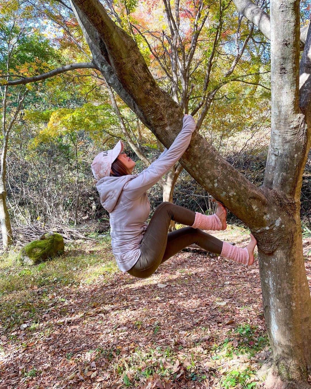 長谷川朋美さんのインスタグラム写真 - (長谷川朋美Instagram)「サロンメンバーさんとの﻿ #山梨リトリート DAY2🌈﻿ ﻿ ずっと前から受けてみたかった﻿ #森林セラピー に参加してきましたよ😆﻿  ﻿ まずはカウンセリングから。﻿  ﻿ それぞれの症状に合わせた森の﻿ 植物の香りなど提案してくれます。﻿ ﻿ 3名のセラピストさんにお越しいただき﻿ 3班に分かれて森を散策。﻿  ﻿ 落ち葉の絨毯と土の香りが﻿ あまりにも気持ち良すぎて﻿ 私は（だけw）裸足で歩きました!﻿  ﻿ めちゃくちゃ気持ちよかった😭✨﻿ ﻿ 森林セラピーでは五感で感じる﻿ 感覚を大切にします。﻿  ﻿ ・紅葉で色づいた木々を見て﻿ 目から癒されると言う刺激。﻿  ﻿ ・植物や土の香りを嗅ぐ刺激。﻿  ﻿ ・鳥や川の流れる音、﻿ 風にざわめく木々の音の刺激。﻿  ﻿ ・植物や土の感触の刺激。﻿ ﻿ そして、﻿  ﻿ 歩きながら食べられる﻿ 実は味わうと言う刺激。﻿  ﻿ こちらではクルミを割って﻿ 食べると言う貴重な経験も!﻿ ﻿ 最後は、ガイドさんに見守って﻿ いただきながら森林の中で﻿ 横になって15分のお昼寝タイム。﻿  ﻿ 横になることによって植物が﻿ 出している#フィトンチッド を﻿ たくさん吸収できるそうで、﻿ #自律神経 を整えてくれます。﻿  ﻿ これがもう、涙が出るくらい感動で。﻿  ﻿ 感謝と愛の波が﻿ 内側から押し寄せてきて﻿ 止まりませんでした。。﻿  ﻿ あぁ、私生かされてるんだな。﻿  ﻿ 一度しかないこの人生を﻿ 楽しみ味わい尽くそう、と。﻿ ﻿ 皆さん、とってもリラックス﻿ されていい表情でした💕﻿ ﻿ #エレナのセルフリトリートツアー﻿ #紅葉 #山梨 #フフ山梨 #yamanashi﻿ #selfretreat #retreat #リトリート #セルフリトリート﻿ ﻿ ﻿  ﻿」11月17日 13時21分 - hasegawa.elena.tomomi