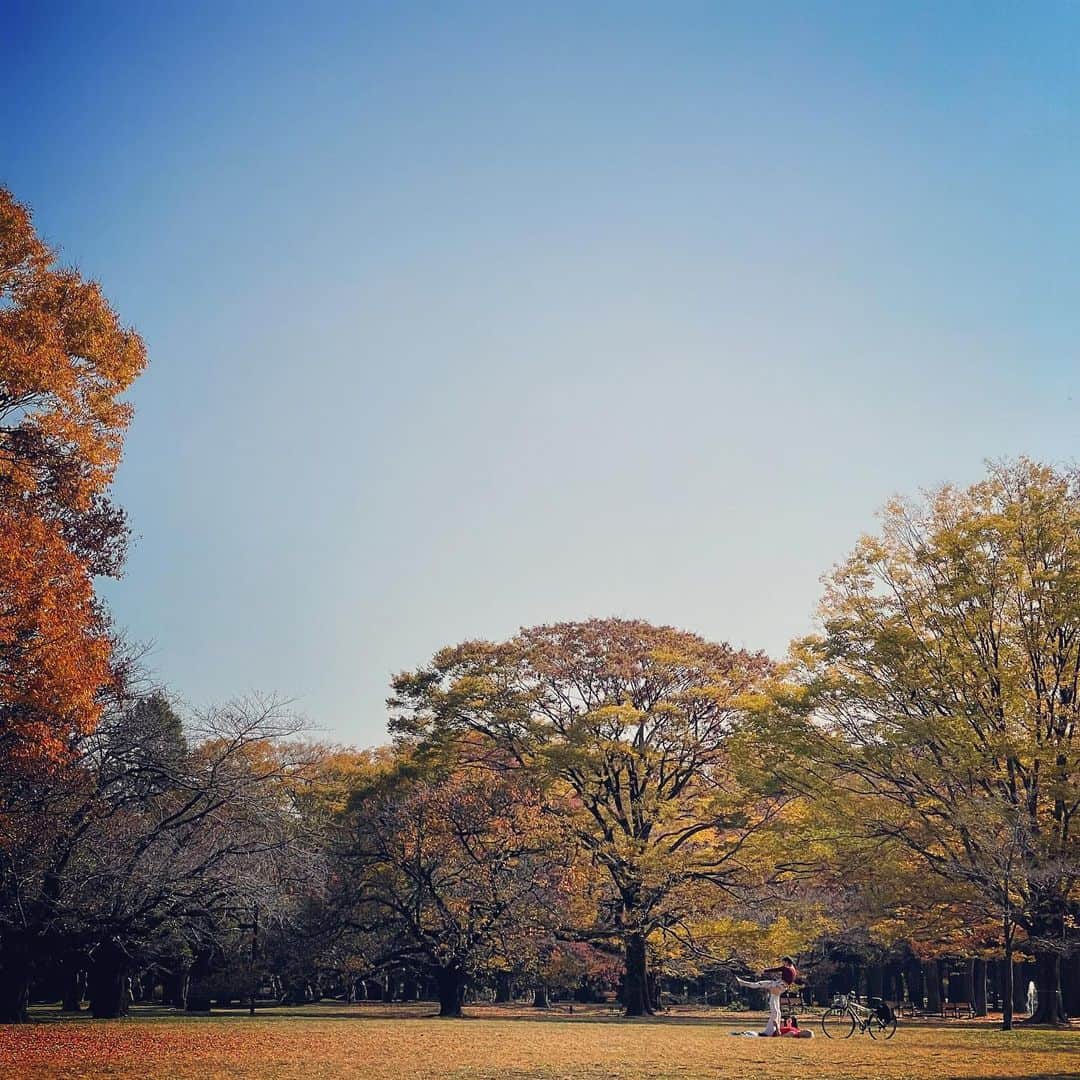 のインスタグラム：「……エ？  #目を疑う光景」