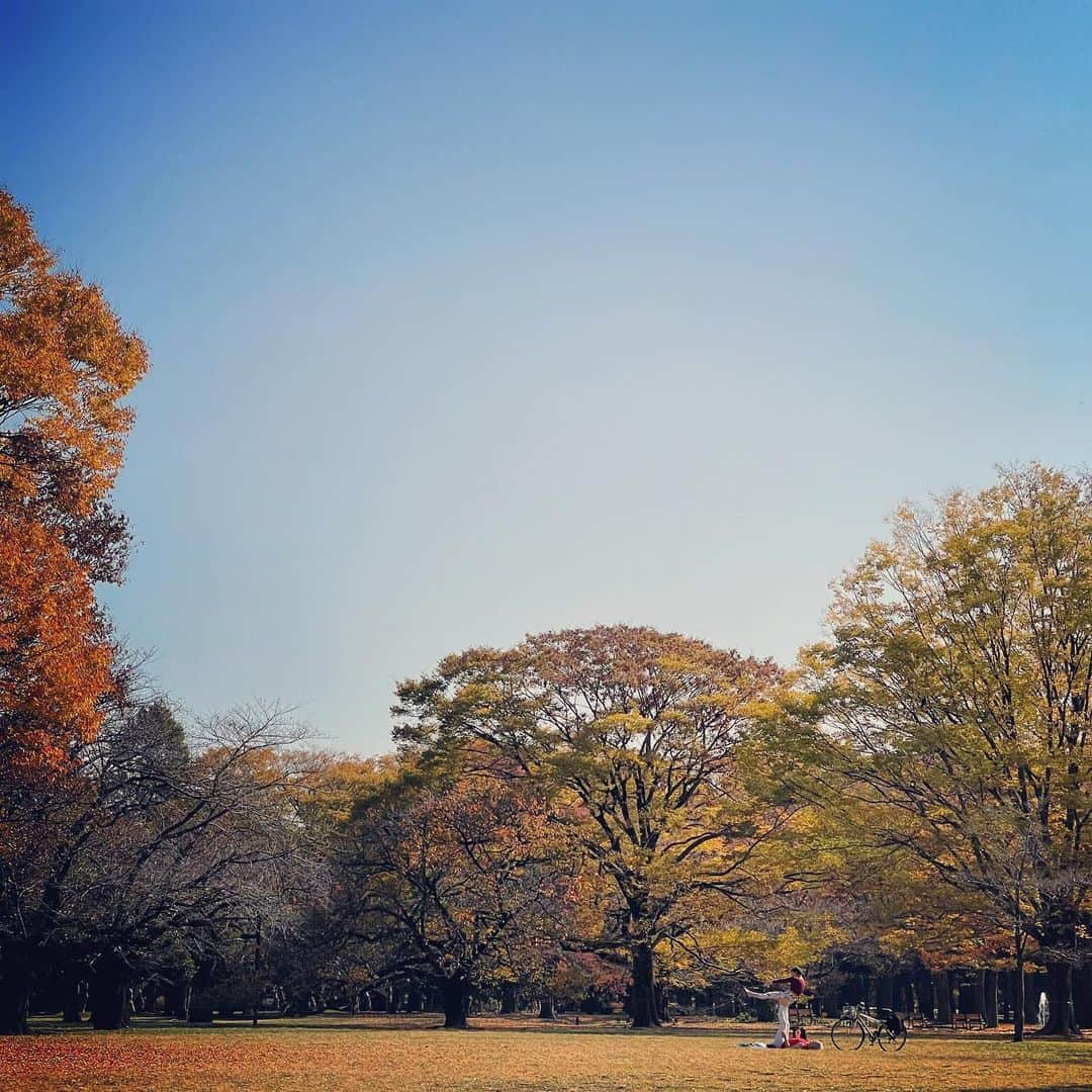 柴崎竜人さんのインスタグラム写真 - (柴崎竜人Instagram)「……エ？  #目を疑う光景」11月17日 13時25分 - ryuto_shibazaki