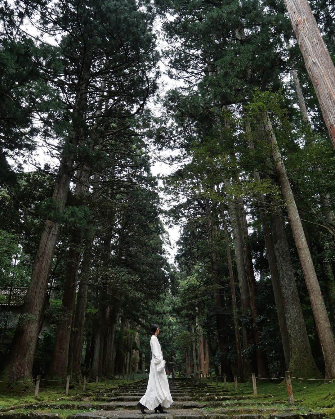 櫻井千尋さんのインスタグラム写真 - (櫻井千尋Instagram)「✮ Spot ✈︎ Fukui,Japan.  " 平泉寺白山神社 " の参道横にある  " 御手洗池 "という泉✶⋆  平泉寺という名前の由来になった場所で 空気が澄んでいて神秘的なスポット☺️  白のワンピースで来てしまったもんだから オバケっぽくなってしまったけど🤭  この神社参道の入り口から境内まで ずっと景色がステキだったな〜🥰  #平泉寺白山神社 #御手洗池 #福井県 #Fukui #Japan #gotoキャンペーン」11月17日 13時35分 - chihirosakurai