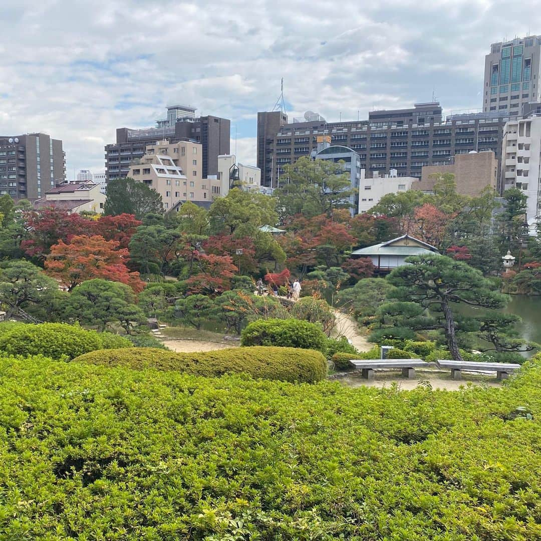 花野じゅりあさんのインスタグラム写真 - (花野じゅりあInstagram)「. 寺門孝之先生の展覧会「風街ヘブン」でのイベントのお話  「赤いスイートピー」 「風立ちぬ」 「タイムトラベル」 「木綿のハンカチーフ」 「瑠璃色の地球」  この5つの詞を読ませて頂きました  前日は緊張で眠れなかったり、相楽園に向かうまで、不安な気持ちでしたが、会場で共演する皆さまとお会いしたら、だんだんリラックスしていきました  朗読と共に美しい旋律を奏でて下さったハーピストの石井理子さん  当日の朝にリハーサルして、すぐ本番…というドキドキなスケジュールでしたが、詞によって、原曲のメロディと歌詞を並行していったり、BGMのように静かに寄り添ったり…と、ハープの美しい音色で詞の世界観を一緒に作り上げて下さいました  そんな美しいハープ演奏とのやりとりは、まるでお芝居のかけ合いをしているようでした  共演者、スタッフの皆さんと共に、１つのものを作り上げる、舞台と同じ緊張感とワクワク…やはり楽しいなぁと感じた1日  参加できて幸せでした  他にも感じた事、話したい事がたくさんありますが、とても長くなってしまうので、この辺りで。。。 . . . ＊寺門孝之展覧会「風街ヘブン」は、神戸相楽園にて、11月30日までご覧頂けます！ 特別イベントのライブ配信は、アーカイブでご覧頂けますので、ジャッジメントKOBEでご検索下さい！ . . . . . #風街ヘブン #寺門孝之 #松本隆 #ハーピスト#石井理子 #朗読 #ジャッジメントkobe  #神戸相楽園」11月17日 14時33分 - julia.hanano