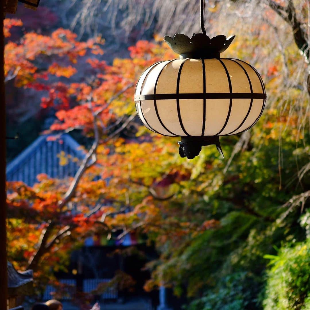 奈良 長谷寺 / nara hasederaのグルメインスタ