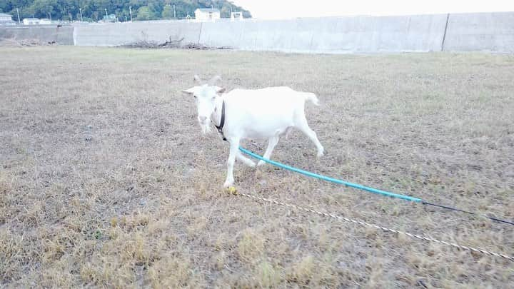 森郁月のインスタグラム