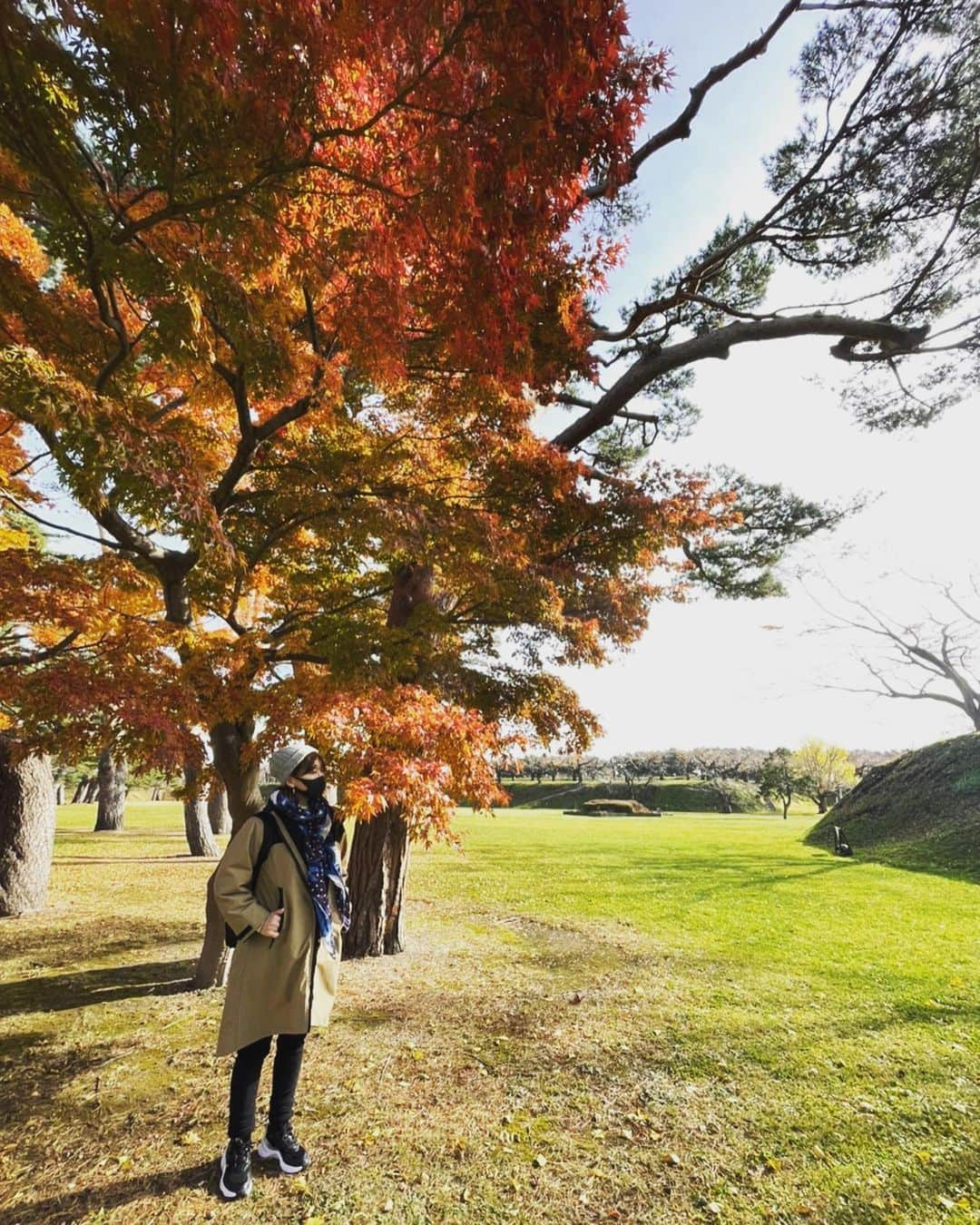 鈴木砂羽さんのインスタグラム写真 - (鈴木砂羽Instagram)「五稜郭✩.*˚ もみじが綺麗でした🍁  朝、市場で張り切って 海鮮丼を食べたので とにかく 歩き回って消費です(*´罒`*)  そして湯の川温泉でさらに 消費!!♨️  あ、でも ハセガワストア（焼き鳥弁当） 行かなきゃ笑笑  #函館 #紅葉 #五稜郭 #五稜郭タワー #湯の川温泉」11月17日 15時46分 - bombon_sawa