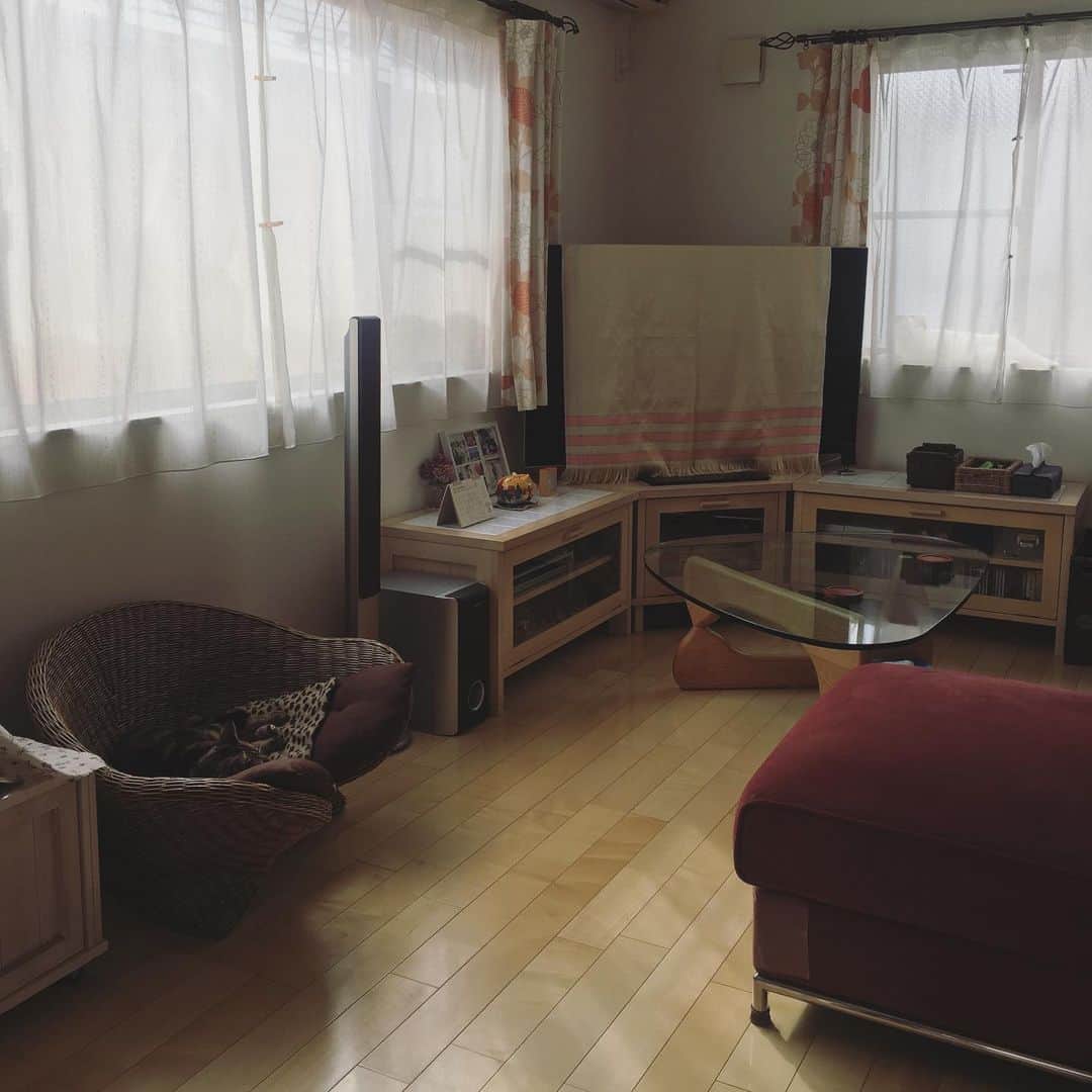 ありす & まりあのインスタグラム：「zzz... 😴 カムフラージュちう。」