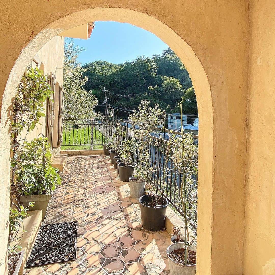 筒井愛実さんのインスタグラム写真 - (筒井愛実Instagram)「． La Maison de Provence🌿 海外にきたみたいに 可愛いがギュッと詰まったcafe☕️ ． ワンちゃんOKなので連れてきている人も多かった🐶🐶 能勢なので今の時期はあったかい格好がマスト🧶 ． #lamaisondeprovence #ラメゾンドプロバンス #プロバンスカフェ #能勢カフェ #犬とおでかけ関西」11月17日 16時33分 - manamin_158cm