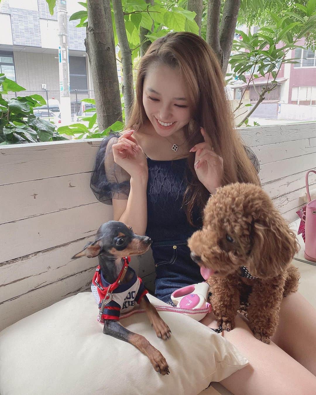 石田安奈のインスタグラム：「いつかの写真❤️ 癒し💖💖💖  #犬のいる暮らし #犬のいる生活 #犬好き #犬の服 #犬写真 #犬かわいい #犬ごはん #犬散歩 #犬夜叉 #犬と休日 #犬カフェ #犬と散歩 #犬と一緒 #犬グッズ #犬と旅行 #犬友」