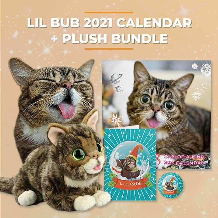 Lil BUBさんのインスタグラム写真 - (Lil BUBInstagram)「Lil BUB Holiday Gift Bundles are now shipping at the link in BUB's bio (www.lilbub.com.store). Save a bunch of $ on awesome gifts like BUB plush toys, calendars, coffee and face masks while helping special needs pets through Lil BUB’s Big FUND. Get an extra 15% off by donating a lil extra to The BUN FUND at checkout. #thegiftofbub #bestjobbub #lilbub」11月18日 2時46分 - iamlilbub