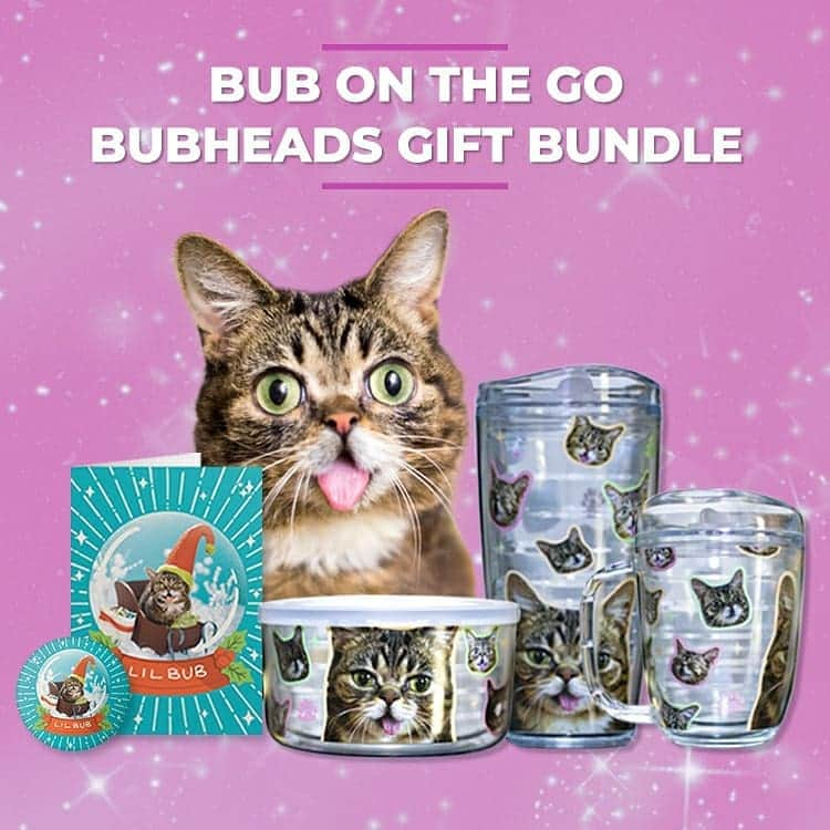 Lil BUBさんのインスタグラム写真 - (Lil BUBInstagram)「Lil BUB Holiday Gift Bundles are now shipping at the link in BUB's bio (www.lilbub.com.store). Save a bunch of $ on awesome gifts like BUB plush toys, calendars, coffee and face masks while helping special needs pets through Lil BUB’s Big FUND. Get an extra 15% off by donating a lil extra to The BUN FUND at checkout. #thegiftofbub #bestjobbub #lilbub」11月18日 2時46分 - iamlilbub