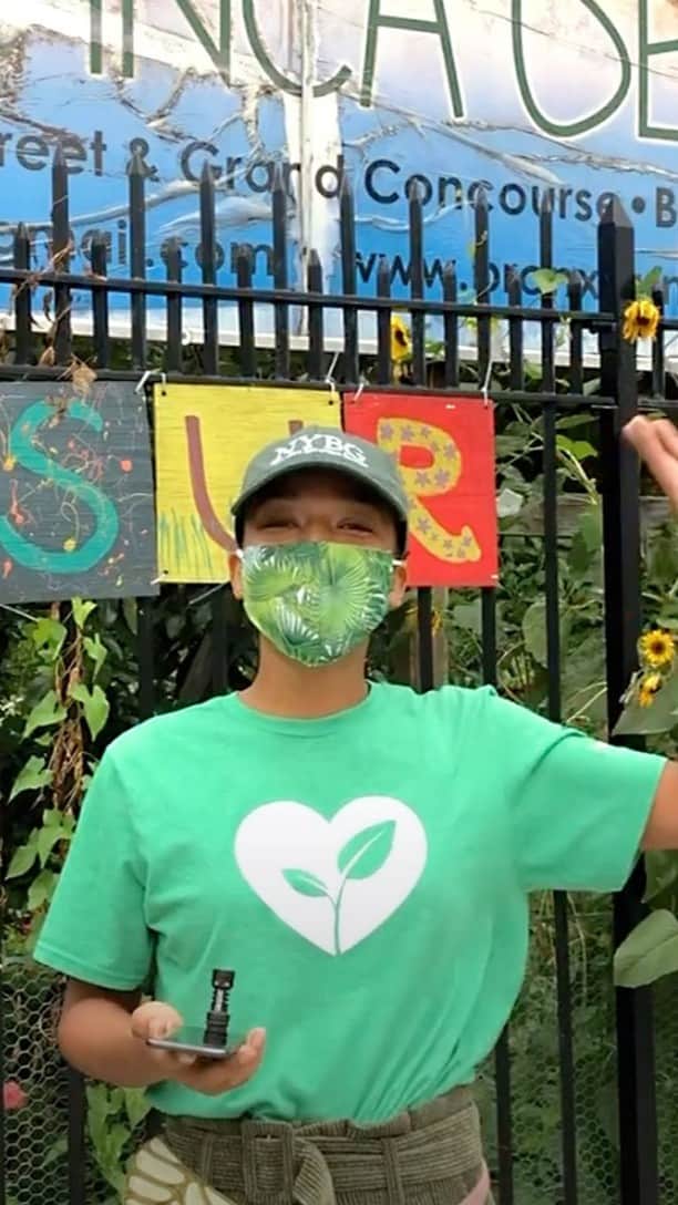 ニューヨーク植物園のインスタグラム：「Take one last Food & Farm Tour through the Bronx as the harvest season winds down. . Join Pamela Alvarez, Outreach & Education Coordinator for the NYC Compost Project, for 2020’s third and final virtual tour of the Highbridge Hub, part of our Bronx Community Farm Hubs program at NYBG. Take a peek at what’s been happening in Taqwa Community Farm, La Isla Youth Garden, Las Casitas Community Garden, and the Woodycrest Community Garden, and enjoy a cooking demonstration from B-Blossom Catering. . #plantlove #nybgathome #museumfromhome #culturefromhome」