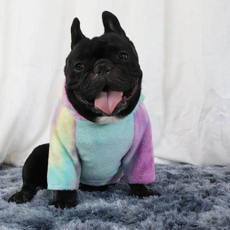 French Bulldogさんのインスタグラム写真 - (French BulldogInstagram)「Rainbow French Bulldog Winter Fleece Hoodie 🌈 Exclusive in @frenchie.world shop 🛍🛍🛍 👉 LINK IN BIO 🔝 . . . . . #frenchie #frenchies #französischebulldogge #frenchbulldog #frenchbulldogs #dog #dogsofinstagram #frenchieworld #bully #bulldog #bulldogfrances #フレンチブルドッグ #フレンチブルドッグ #フレブル #ワンコ #frenchiesgram #frenchbulldogsofinstagram #ilovemyfrenchie #batpig #buhi #squishyfacecrewbulldog」11月18日 3時36分 - frenchie.world