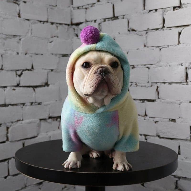 French Bulldogさんのインスタグラム写真 - (French BulldogInstagram)「Rainbow French Bulldog Winter Fleece Hoodie 🌈 Exclusive in @frenchie.world shop 🛍🛍🛍 👉 LINK IN BIO 🔝 . . . . . #frenchie #frenchies #französischebulldogge #frenchbulldog #frenchbulldogs #dog #dogsofinstagram #frenchieworld #bully #bulldog #bulldogfrances #フレンチブルドッグ #フレンチブルドッグ #フレブル #ワンコ #frenchiesgram #frenchbulldogsofinstagram #ilovemyfrenchie #batpig #buhi #squishyfacecrewbulldog」11月18日 3時36分 - frenchie.world