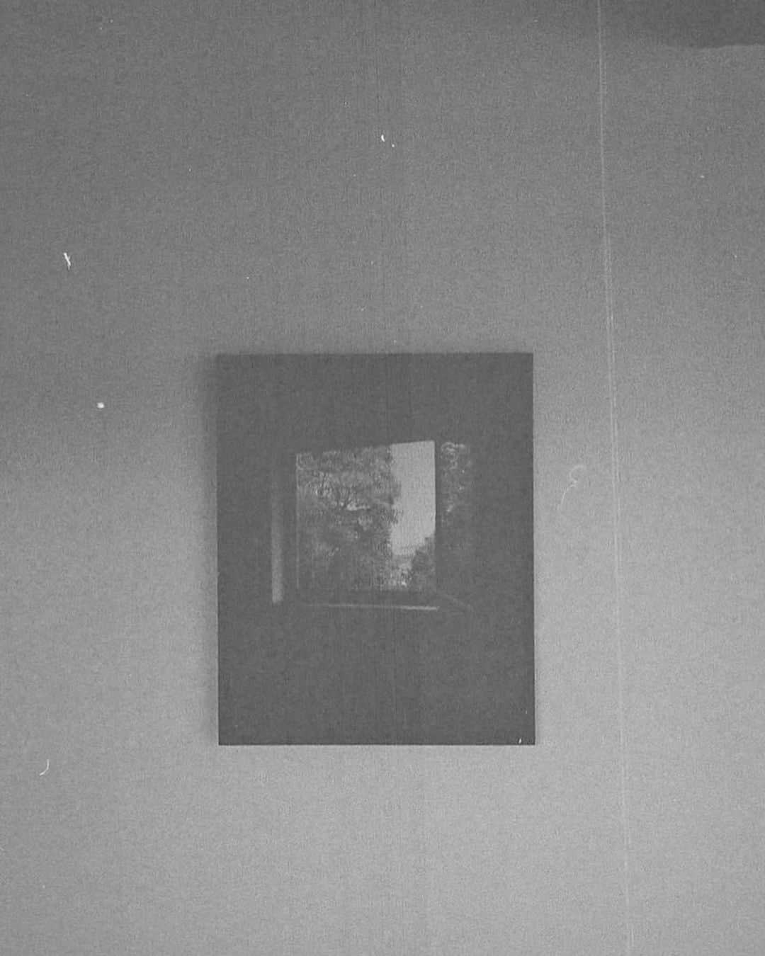 ユーリ・ポドラドチコフのインスタグラム：「Grafenhag, 2020, Platinum Print (16x20in.). Installation views by @ccaeha - Go see the exhibition 'Dinner at 7' @imgrafenhag until December 6th by appointment only」