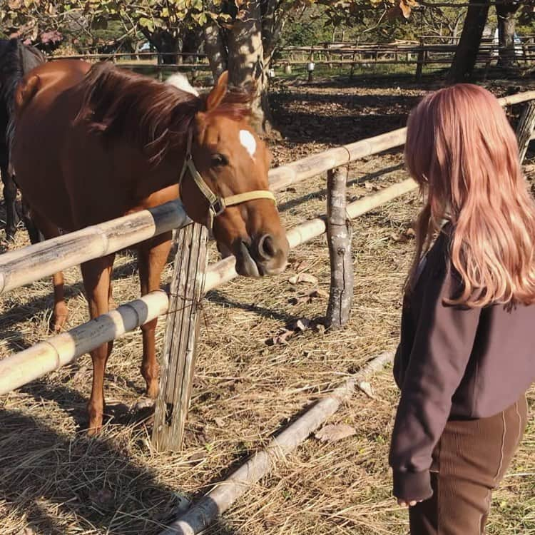 コレサワのインスタグラム：「🐴❤️👧」